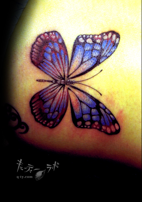 �L���[�e�B�[���{�E�M�������[ FILE1/12