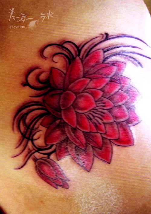 �L���[�e�B�[���{�E�M�������[ FILE1/26